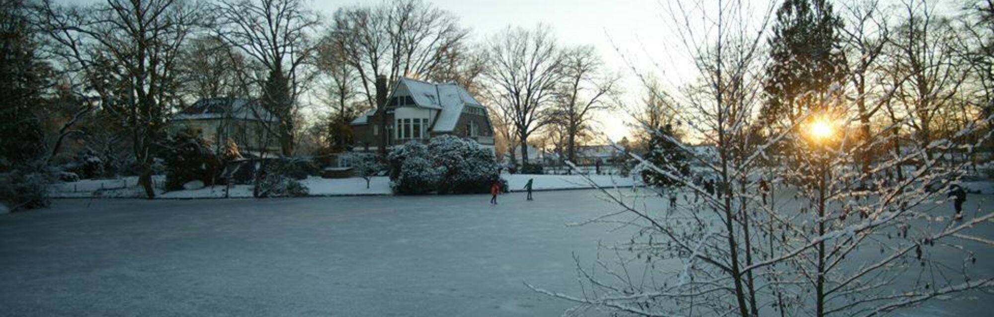 MN vijver 05 2009 1